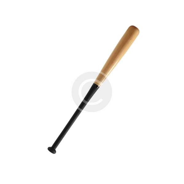 Baseball bat