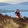 Midweek action – Kaim Hill Race and Linwood Open Graded