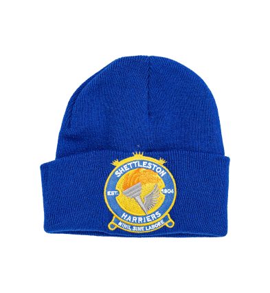 Beanie Blue